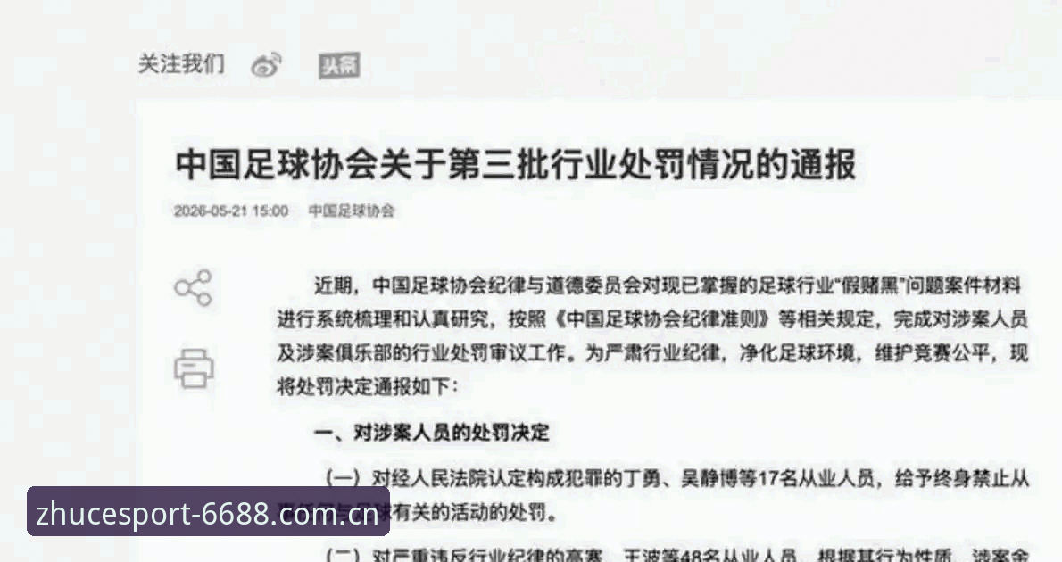 中国足协第三批禁足名单全面解析：65人受罚背后的行业整顿深度分析